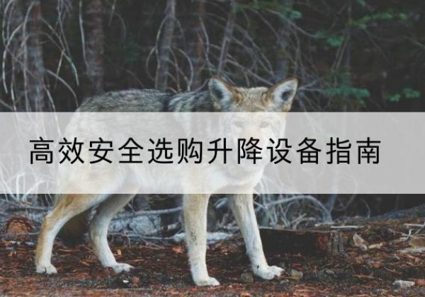 临安升降货梯厂家推荐-*安全选购升降设备指南
