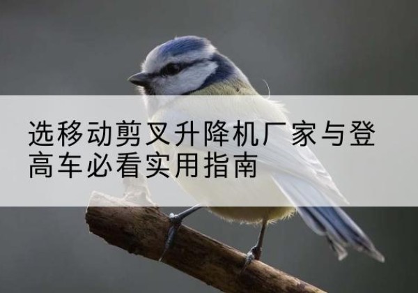 临安电动升降机厂家-选移动剪叉升降机厂家与登高车必看实用指南